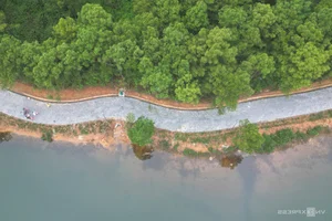 The Transformation of Hue's Abandoned Dragon Park: From Eerie Ruin to Refurbished Landmark - image 2