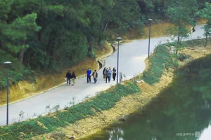 The Transformation of Hue's Abandoned Dragon Park: From Eerie Ruin to Refurbished Landmark - image 8