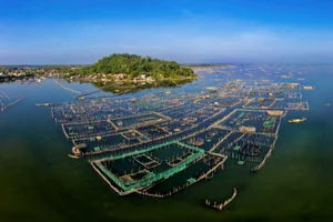 Exploring Thuy Van Mountain: A Scenic Spring Escape in Hue, Vietnam - image 4