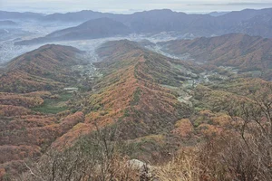 Moving to South Korea: A Complete Expat Guide to Living, Housing, and Cultural Integration in Seoul - image 10