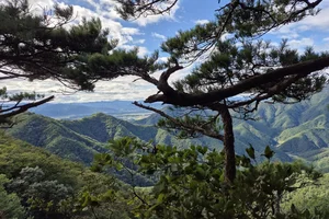 Moving to South Korea: A Complete Expat Guide to Living, Housing, and Cultural Integration in Seoul - image 0