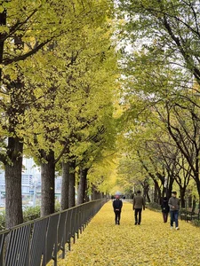 Moving to South Korea: A Complete Expat Guide to Living, Housing, and Cultural Integration in Seoul - image 13