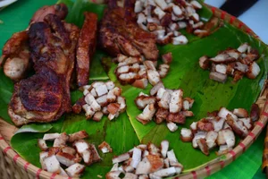 Exploring a Massive Food Festival Featuring Over 600 Authentic Local Specialties - image 13