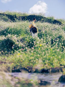 The Art of Seasonal Transitions: Embracing Early Summer with Tu Ya W - image 7