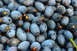 From Humble Roots to Trendy Treats: 3 Traditional Dishes Taking Cities by Storm - image 5