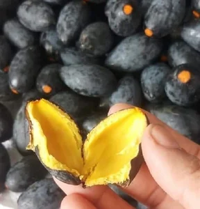 From Humble Roots to Trendy Treats: 3 Traditional Dishes Taking Cities by Storm - image 6