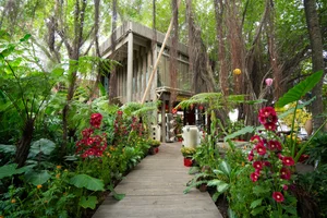 A Tropical Escape: The Riverside Forest Resort in Ho Chi Minh City - image 1