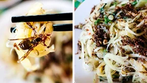 Exotic Culinary Delights: Why Yellow Ant Dishes are the Next Big Trend for Adventurous Foodies - image 4
