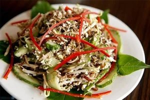 Exotic Culinary Delights: Why Yellow Ant Dishes are the Next Big Trend for Adventurous Foodies - image 3