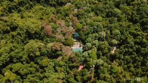 Wildlife Photography in Ma Da Forest: Exploring the Biodiversity of Dong Nai Vietnam - image 9