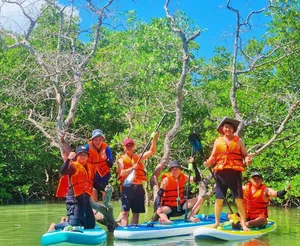 Top 6 Eco-Friendly Travel Destinations Near Ho Chi Minh City for Your Next Getaway - image 6