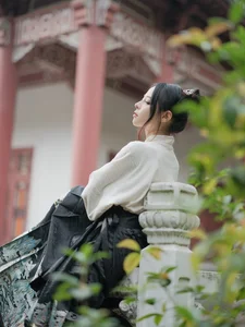 YiTuYu Art Language Vol.6236: Exploring the Artistic Elegance of Dan Dan - image 33