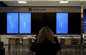 Global IT Outage Leaves Travelers Stranded: The Blue Screen of Death Impact at Airports - image 6