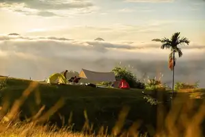 Noc Tak Po Da Nang: The Ultimate Cloud Hunting & Camping Spot Amidst Majestic Sea of Clouds. Explore Pristine Mountain Beauty! - image 4