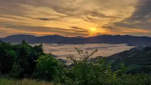 Noc Tak Po Da Nang: The Ultimate Cloud Hunting & Camping Spot Amidst Majestic Sea of Clouds. Explore Pristine Mountain Beauty! - image 3