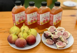 Exploring the 2-Hectare American Fig Garden in Ho Chi Minh City - image 10