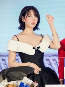 The Graceful Performer: A Close Look at the Beauty Who Sang for the South Korean Presidential Couple - image 13