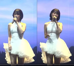 The Graceful Performer: A Close Look at the Beauty Who Sang for the South Korean Presidential Couple - image 7