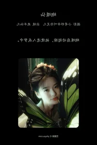 Butterfly Fairy Art Photography by Lu Ban Xian Er - image 13