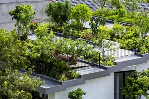 Innovative Terraced Roof Garden House Architecture in Nha Trang - image 11