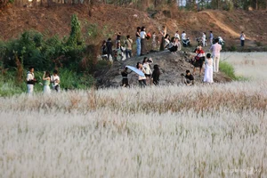 Saigon's Hidden Reed Fields: The Ultimate Photography Spot for Youth - image 4