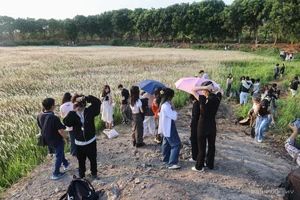 Saigon's Hidden Reed Fields: The Ultimate Photography Spot for Youth - image 10