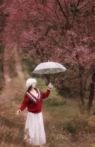 Lost in a Pink Paradise: Moc Chau's Enchanting Cherry Blossom Road Awaits - image 11