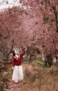 Lost in a Pink Paradise: Moc Chau's Enchanting Cherry Blossom Road Awaits - image 9