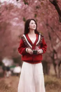 Lost in a Pink Paradise: Moc Chau's Enchanting Cherry Blossom Road Awaits - image 5
