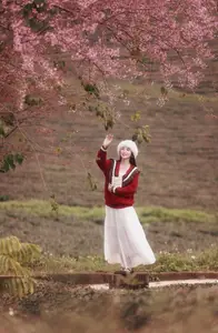 Lost in a Pink Paradise: Moc Chau's Enchanting Cherry Blossom Road Awaits - image 4