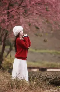 Lost in a Pink Paradise: Moc Chau's Enchanting Cherry Blossom Road Awaits - image 1