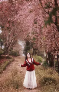 Lost in a Pink Paradise: Moc Chau's Enchanting Cherry Blossom Road Awaits - image 10