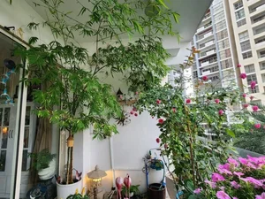 Elegant 148m2 Apartment in Ho Chi Minh City Featuring a Stunning Relaxing Garden Balcony - image 2