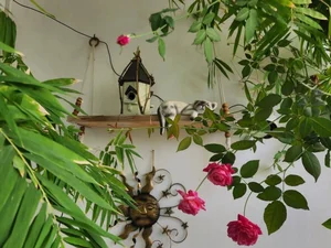 Elegant 148m2 Apartment in Ho Chi Minh City Featuring a Stunning Relaxing Garden Balcony - image 5