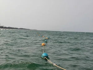 Quang Ngai Enhances Beach Safety with Designated Swimming Zones for the Upcoming Tourist Season - image 7