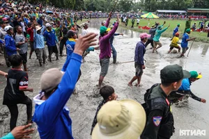 Thrilling Highlights from the Bay Nui Cow Racing Festival 2024 - image 10