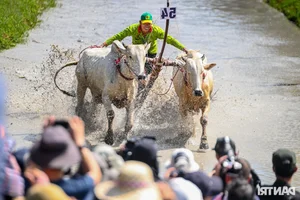 Thrilling Highlights from the Bay Nui Cow Racing Festival 2024 - image 0