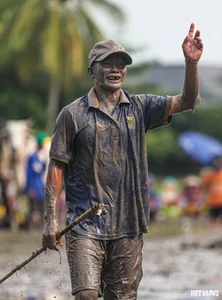 Thrilling Highlights from the Bay Nui Cow Racing Festival 2024 - image 7