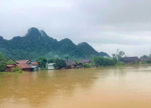 Tan Hoa World Best Tourism Village Flooded After Storm - image 2