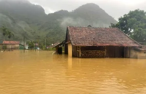 Tan Hoa World Best Tourism Village Flooded After Storm - image 3