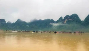 Tan Hoa World Best Tourism Village Flooded After Storm - image 5