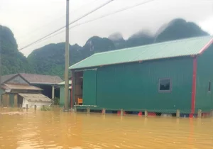 Tan Hoa World Best Tourism Village Flooded After Storm - image 1