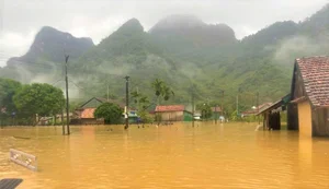 Tan Hoa World Best Tourism Village Flooded After Storm - image 4