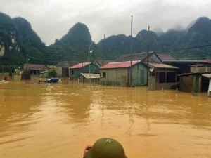 Tan Hoa World Best Tourism Village Flooded After Storm - image 0