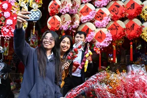 Exploring the Vibrant Lunar New Year Decoration Markets in Ho Chi Minh City - image 9