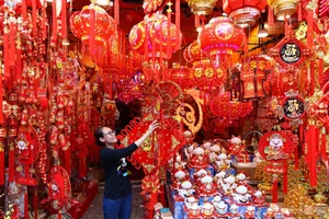 Exploring the Vibrant Lunar New Year Decoration Markets in Ho Chi Minh City - image 2