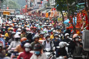 Exploring the Vibrant Lunar New Year Decoration Markets in Ho Chi Minh City - image 7