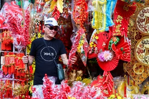 Exploring the Vibrant Lunar New Year Decoration Markets in Ho Chi Minh City - image 3