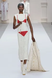 Exploring the Elegance of Paris Luxury Fashion Shows and High-End Couture Trends - image 8