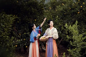Elegant Artistic Portraiture: YiTuYu Art Language Vol.4482 Featuring Shu Pian - image 2